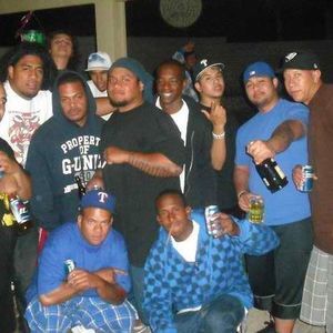 Meet your Posher, Tevisi